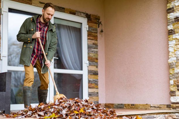 Best Construction Debris Removal  in Albers, IL